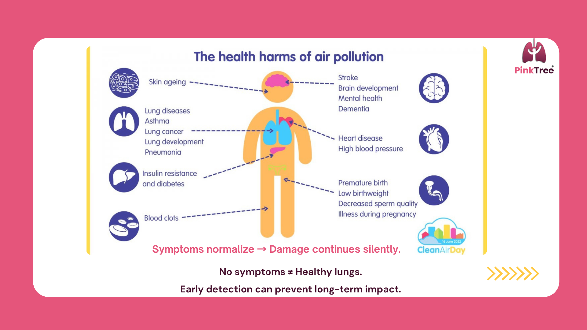 What Pollution Actually Does to Your Body